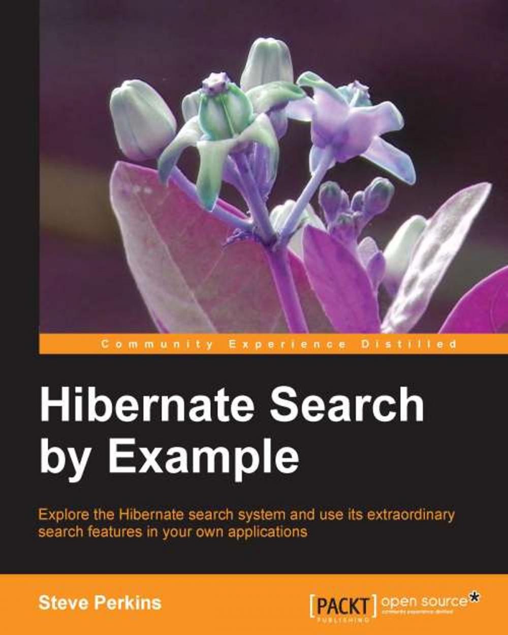 Big bigCover of Hibernate Search by Example