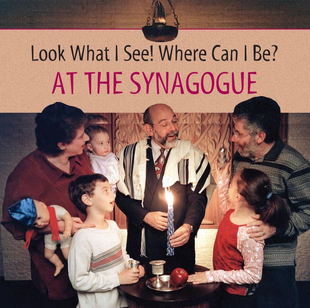 Big bigCover of Look What I See! Where Can I Be?: At the Synagogue