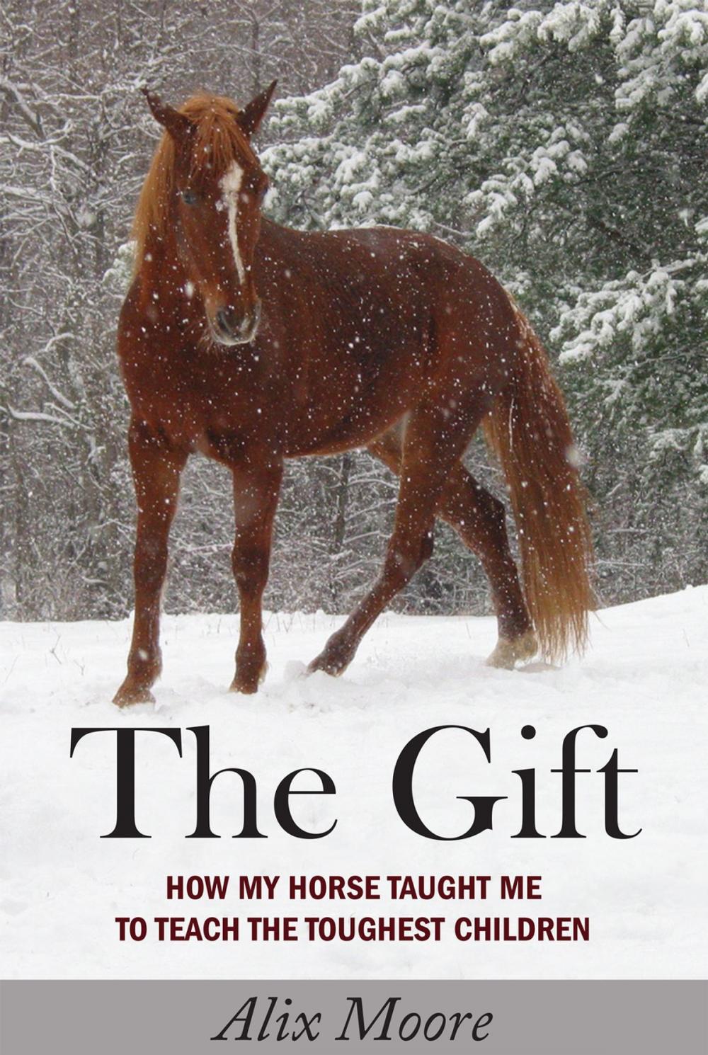 Big bigCover of The Gift
