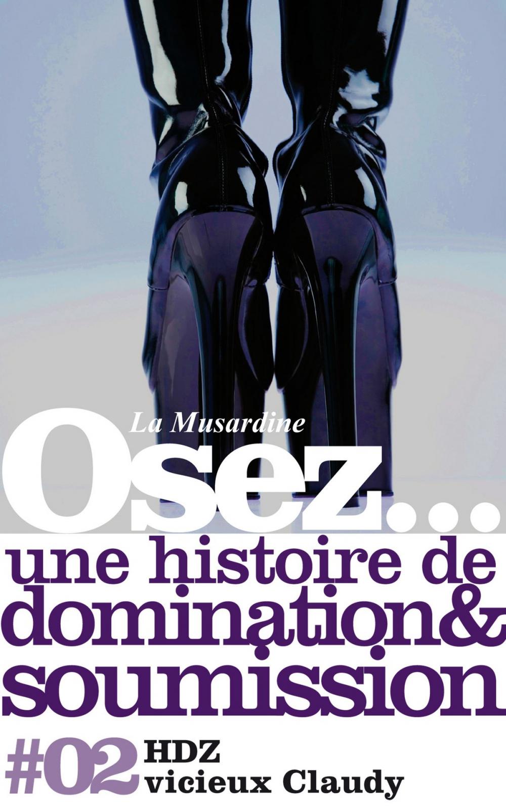 Big bigCover of Osez une histoire de soumission et de domination : Vicieux Claudy