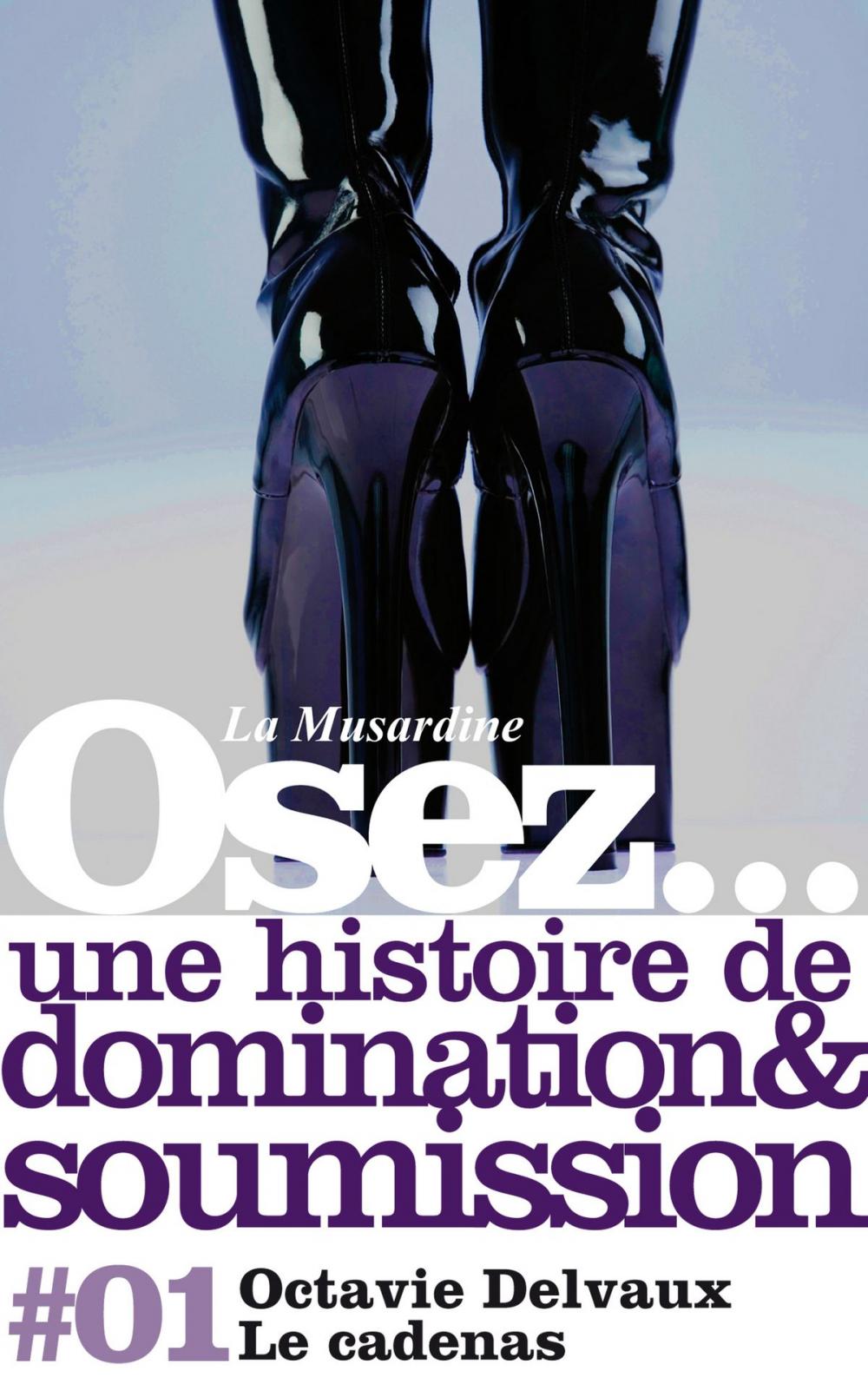 Big bigCover of Osez une histoire de soumission et de domination : Le Cadenas