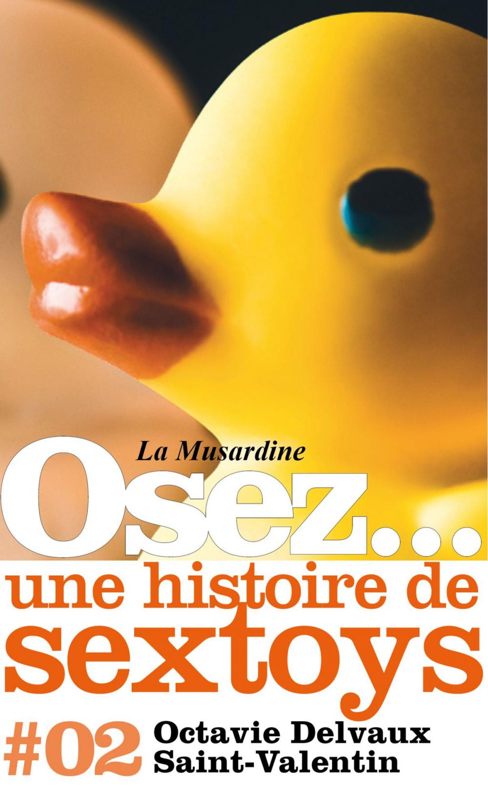 Big bigCover of Osez une histoire de sextoys : Saint-Valentin