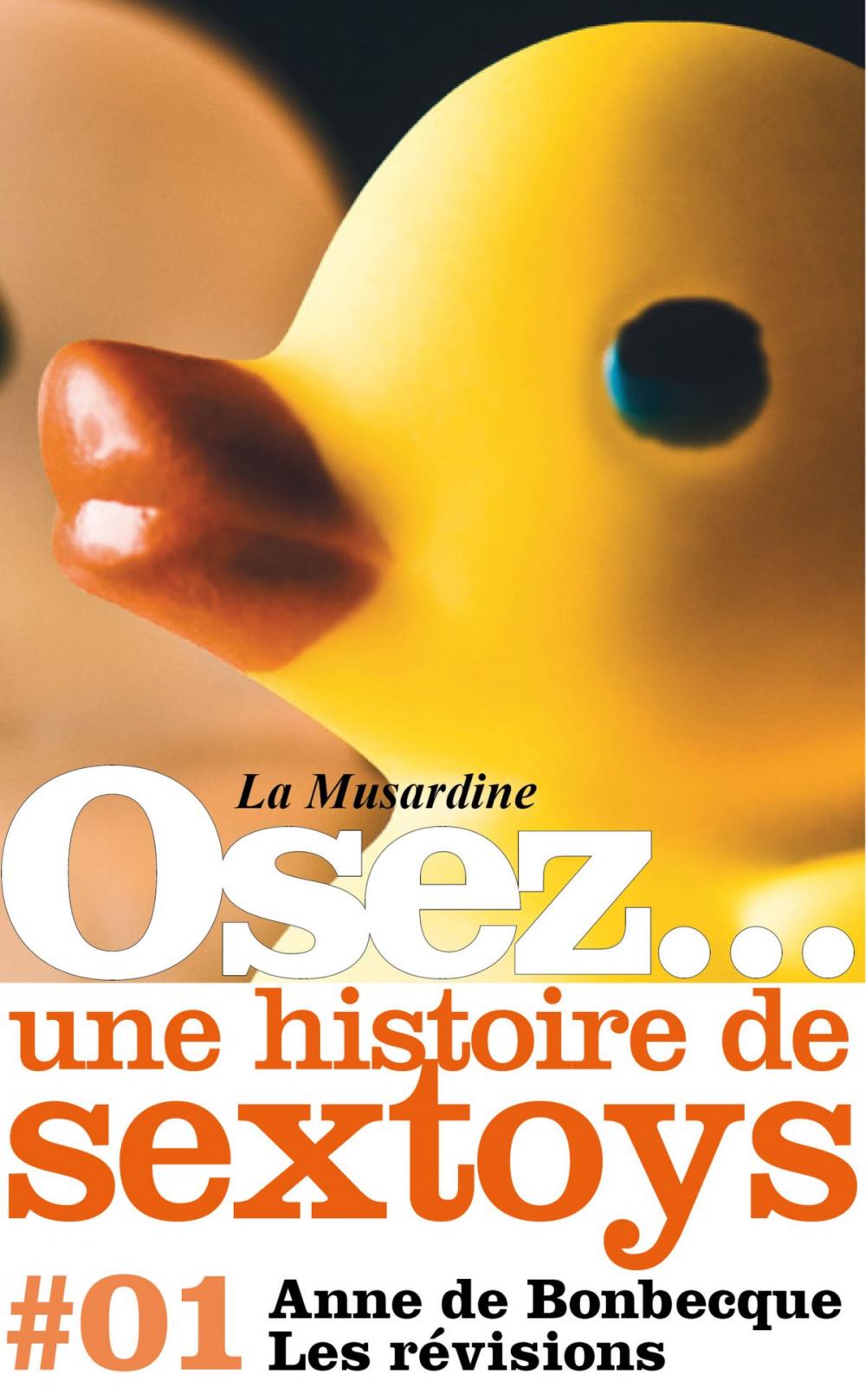 Big bigCover of Osez une histoire de sextoys : Les révisions