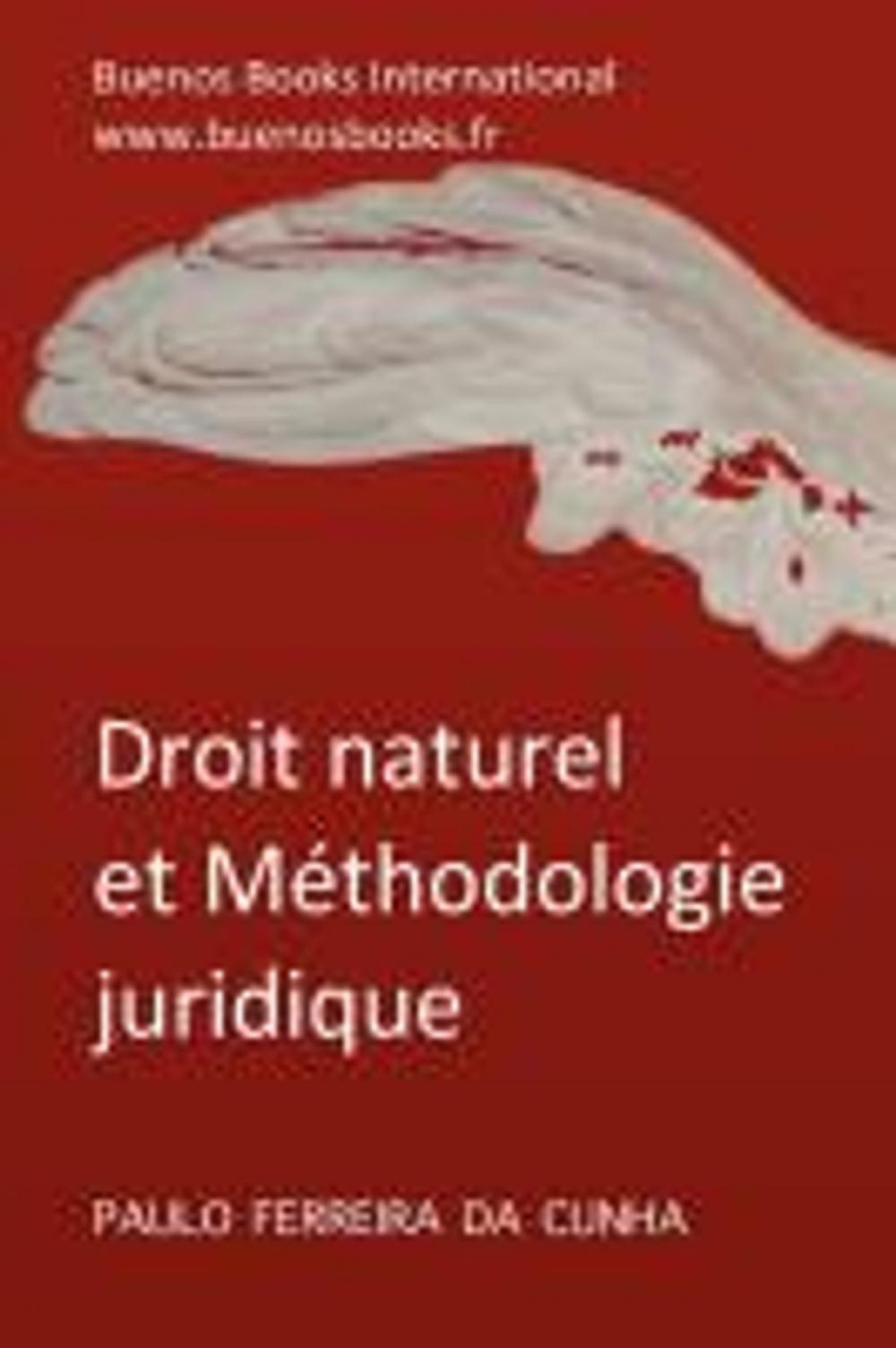 Big bigCover of DROIT NATUREL ET METHODOLOGIE JURIDIQUE