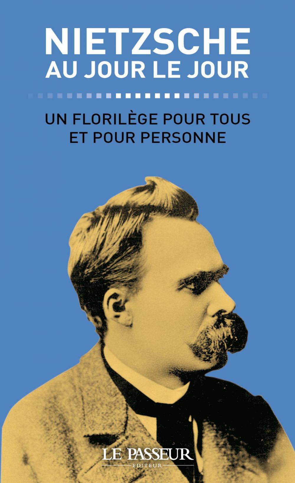 Big bigCover of Nietzsche au jour le jour