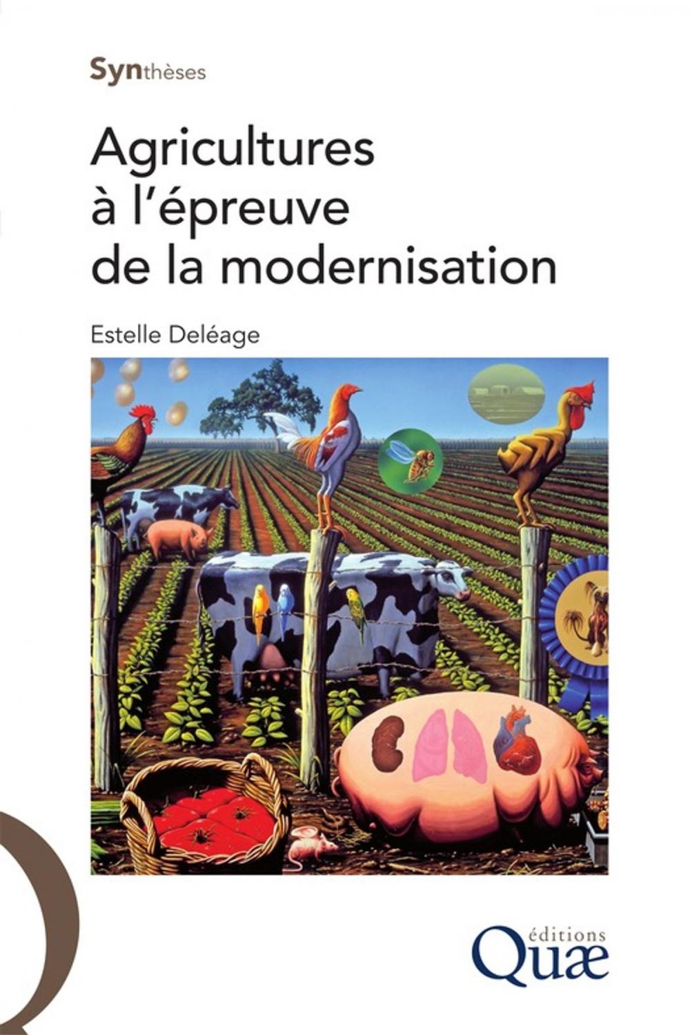 Big bigCover of Agricultures à l'épreuve de la modernisation