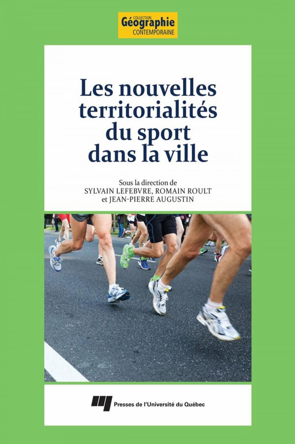 Big bigCover of Les nouvelles territorialités du sport dans la ville