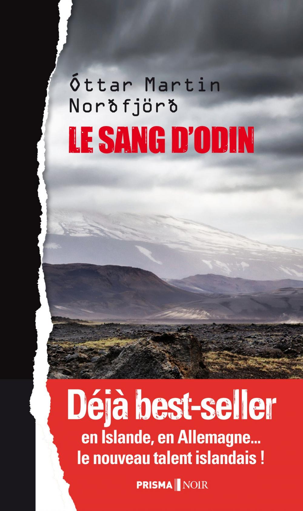 Big bigCover of Le sang d'Odin