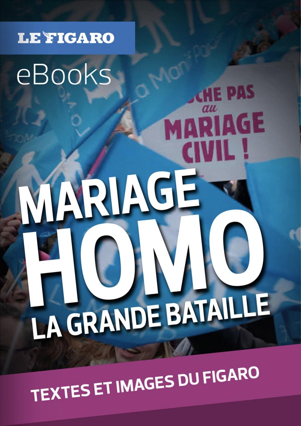 Big bigCover of Mariage homo : la grande bataille