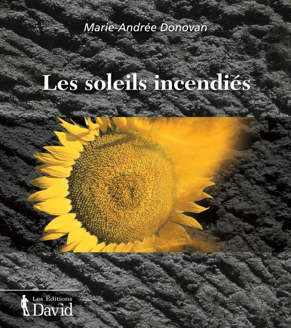 Big bigCover of Les soleils incendiés