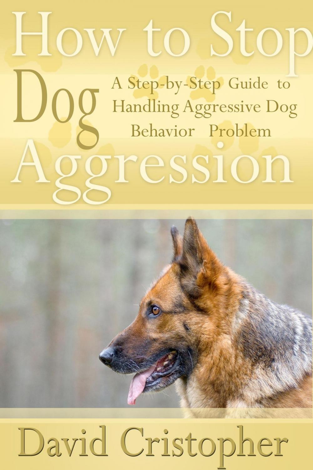 Big bigCover of How to Stop Dog Aggression