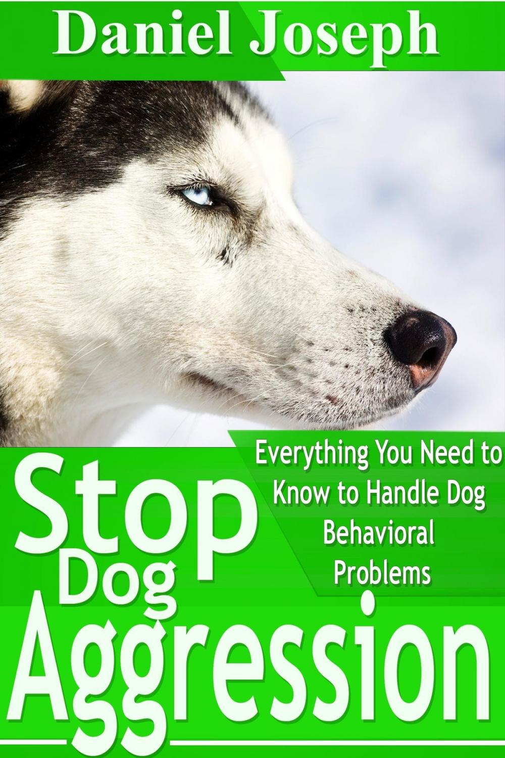 Big bigCover of Stop Dog Aggression