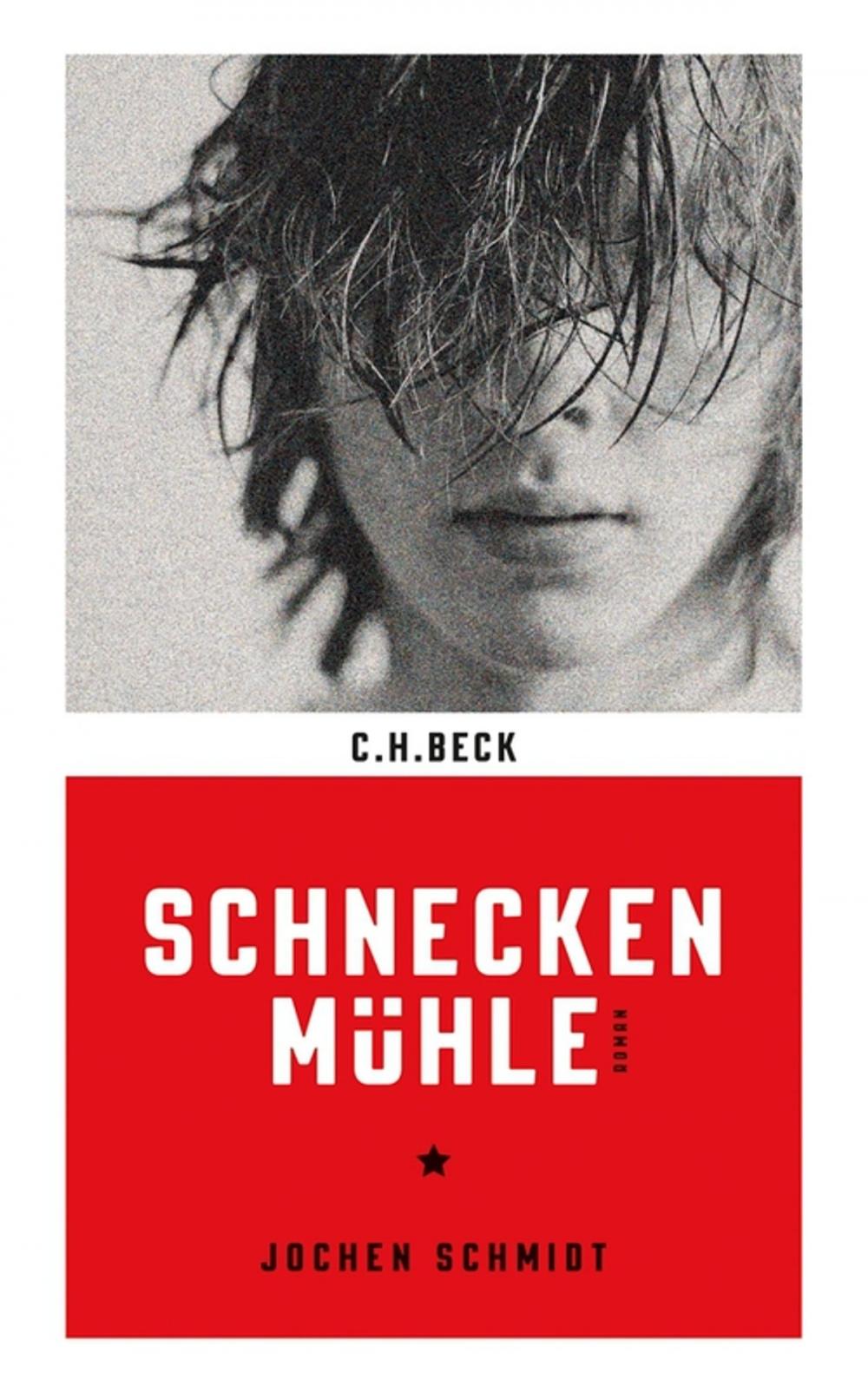 Big bigCover of Schneckenmühle