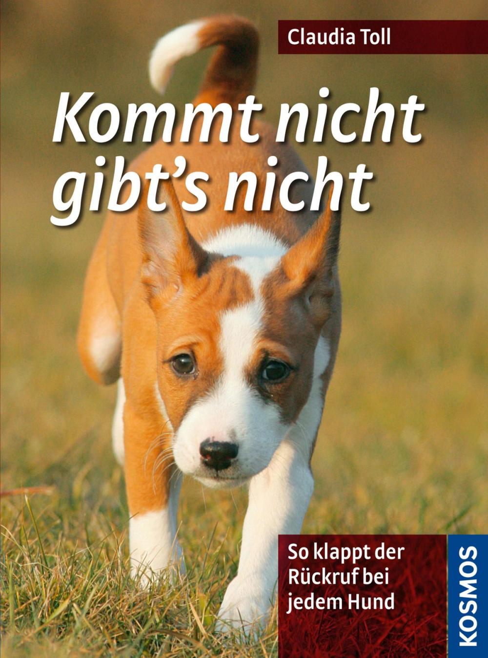 Big bigCover of Kommt nicht gibt's nicht