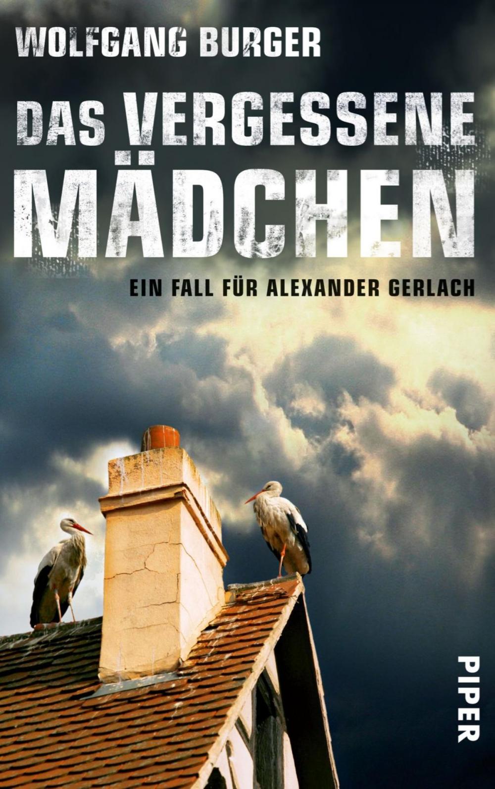 Big bigCover of Das vergessene Mädchen