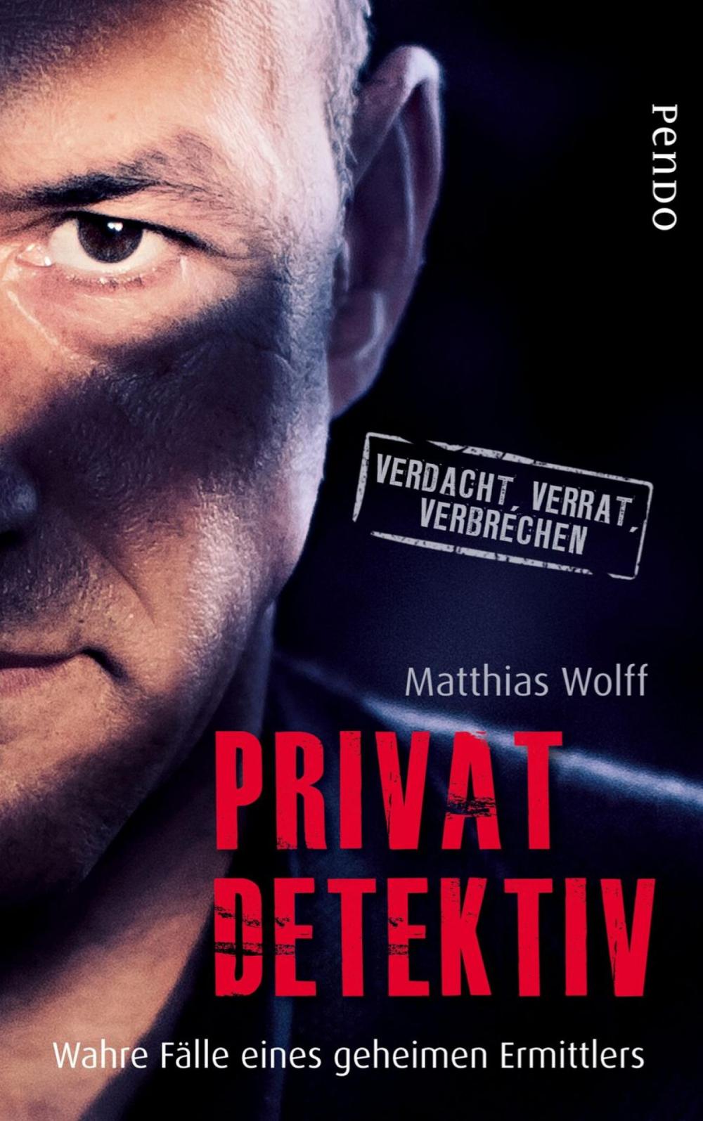 Big bigCover of Privatdetektiv