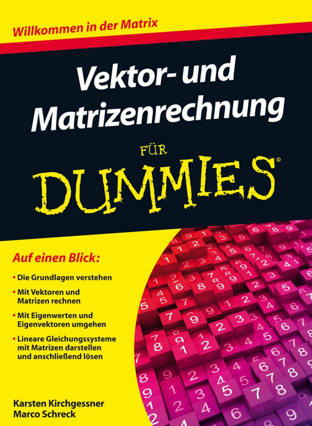 Big bigCover of Vektor- und Matrizenrechnung fur Dummies