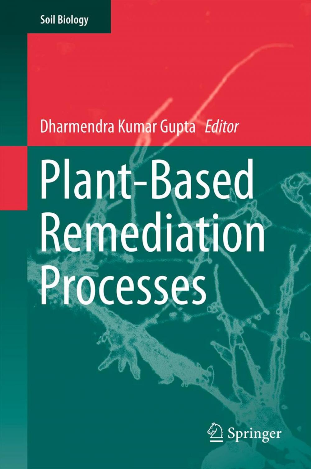 Big bigCover of Plant-Based Remediation Processes