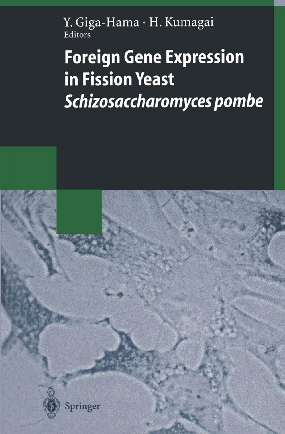 Big bigCover of Foreign Gene Expression in Fission Yeast: Schizosaccharomyces pombe