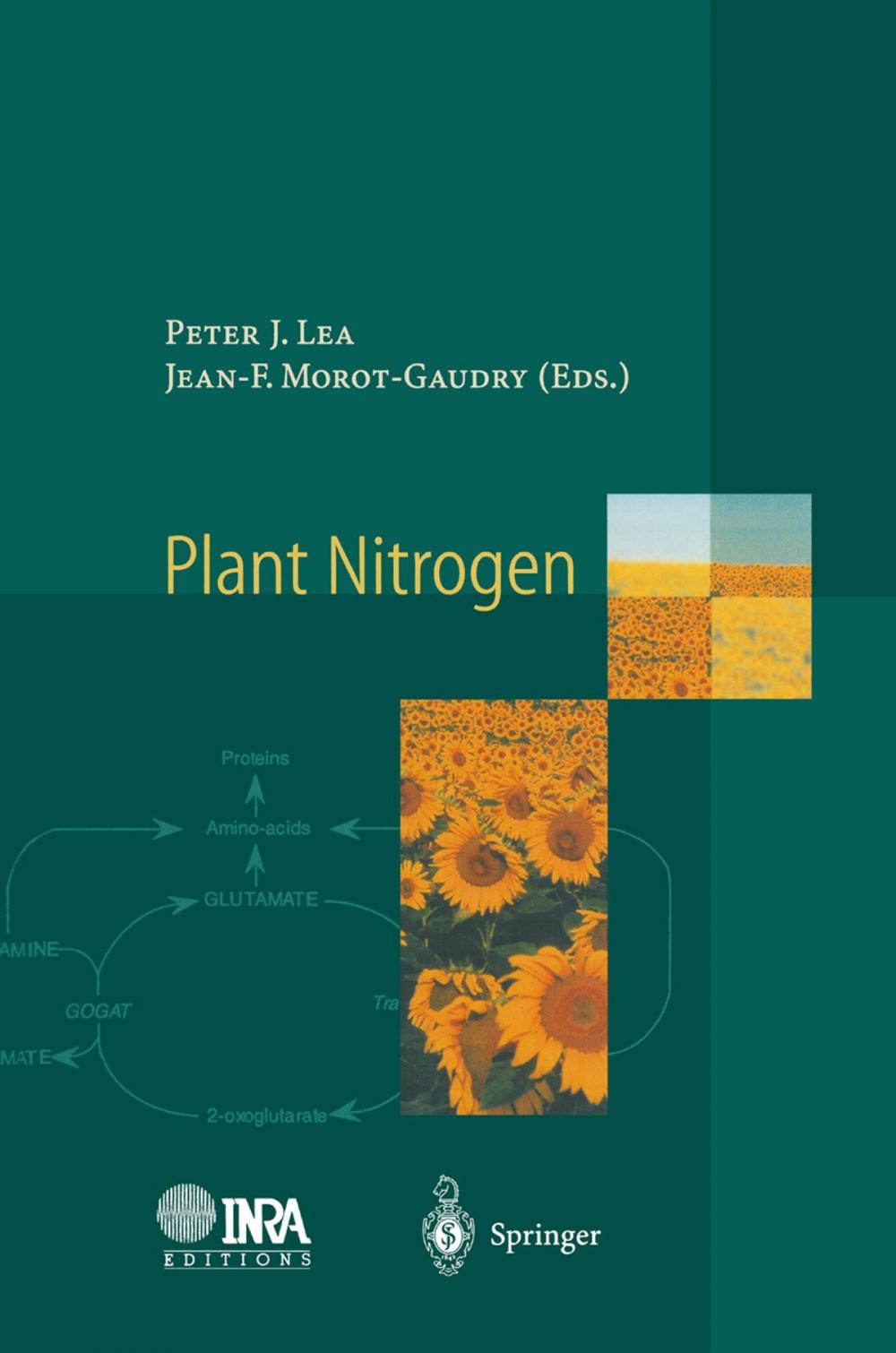 Big bigCover of Plant Nitrogen