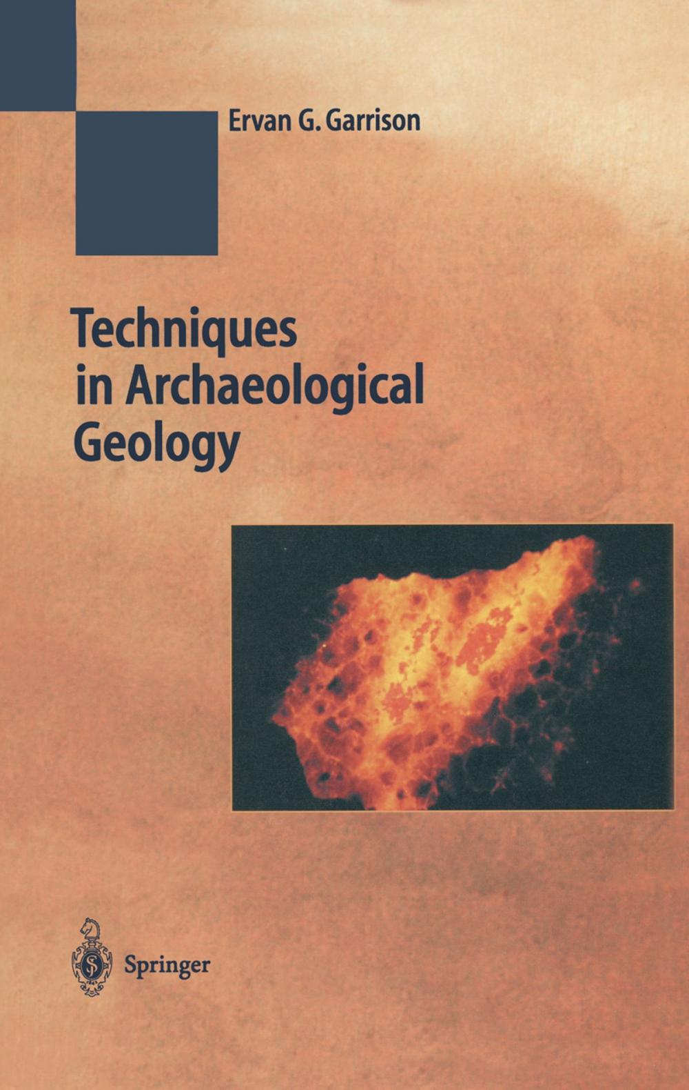 Big bigCover of Techniques in Archaeological Geology