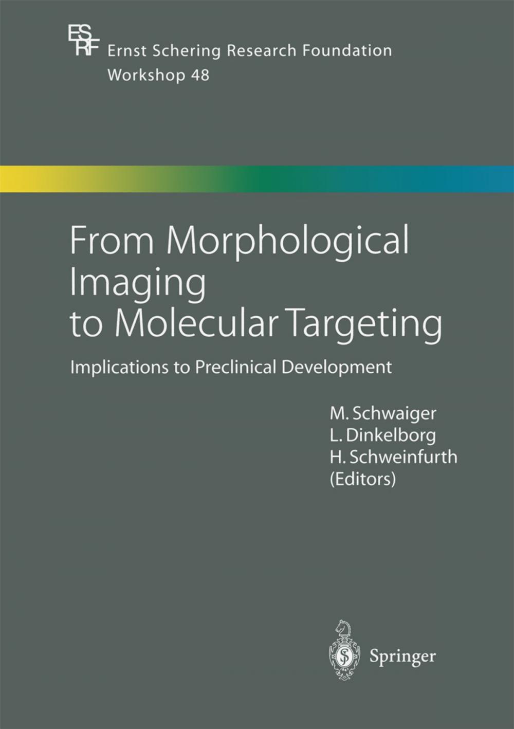 Big bigCover of From Morphological Imaging to Molecular Targeting