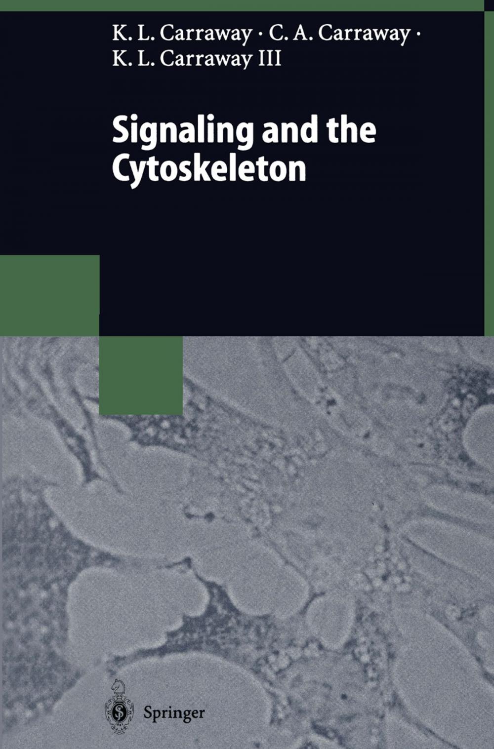 Big bigCover of Signaling and the Cytoskeleton