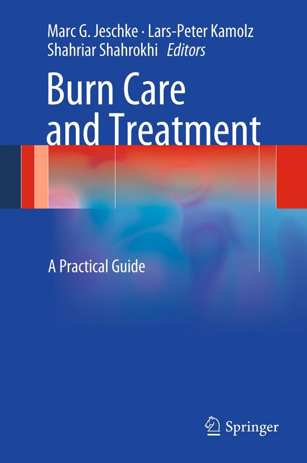 Big bigCover of Burn Care and Treatment