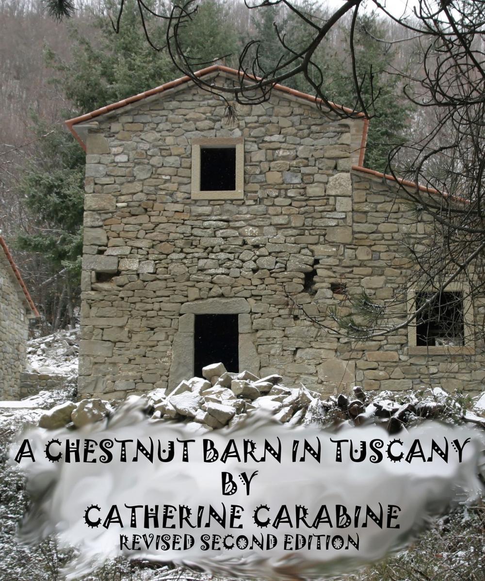 Big bigCover of A Chestnut Barn in Tuscany