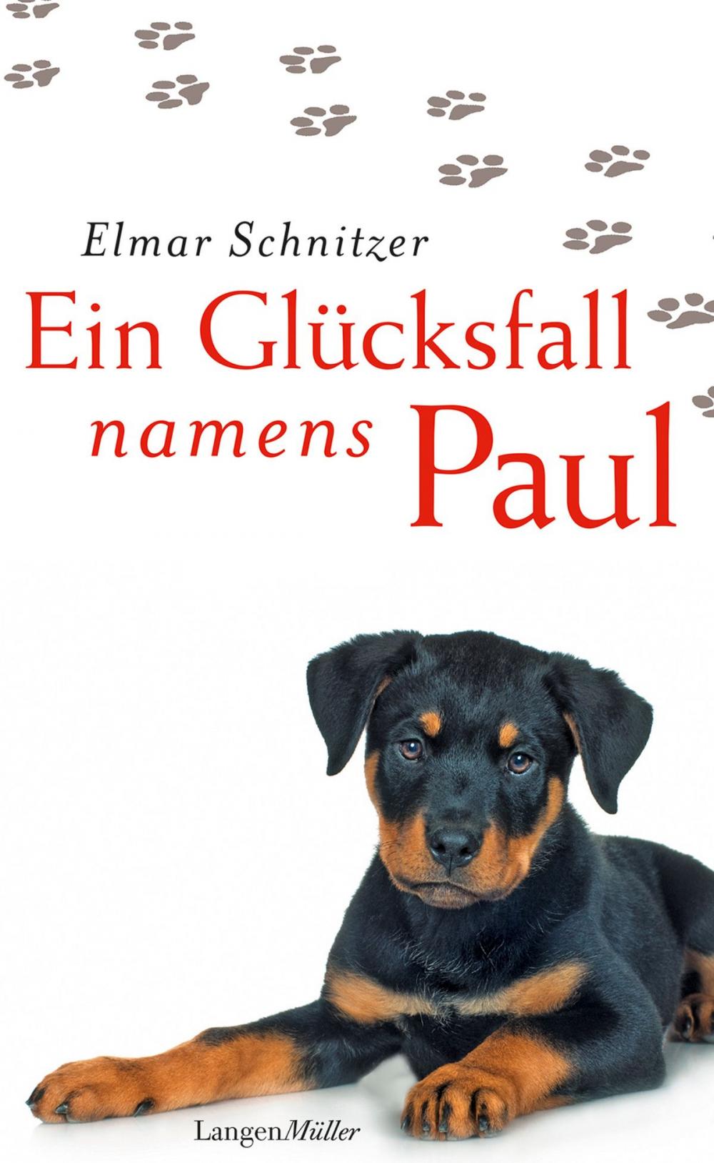 Big bigCover of Ein Glücksfall namens Paul