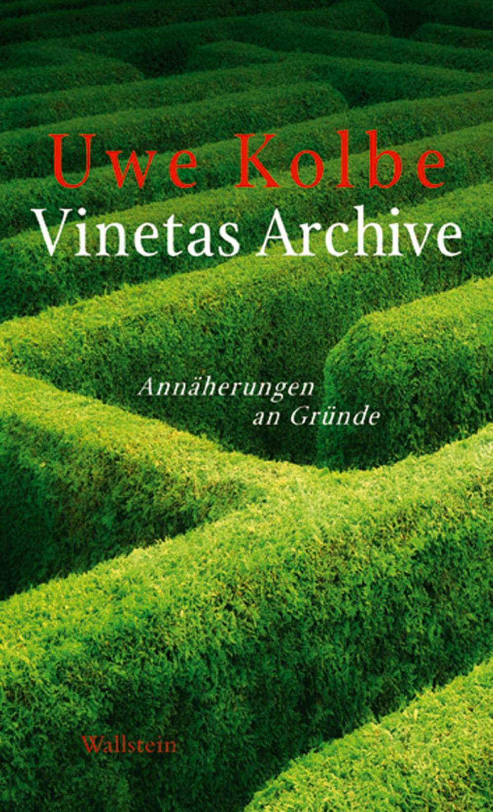 Big bigCover of Vinetas Archive