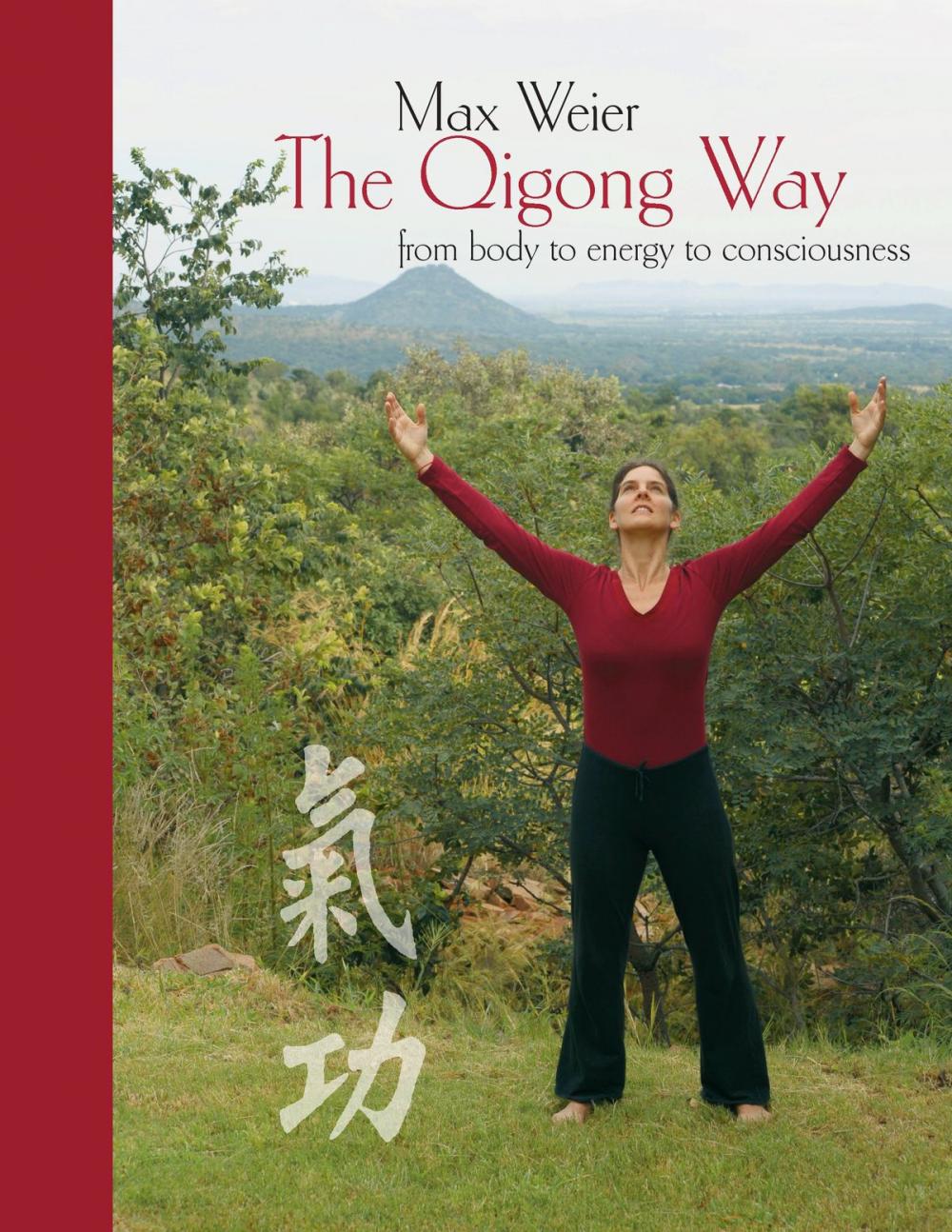 Big bigCover of The Qigong Way - from body to consciousness