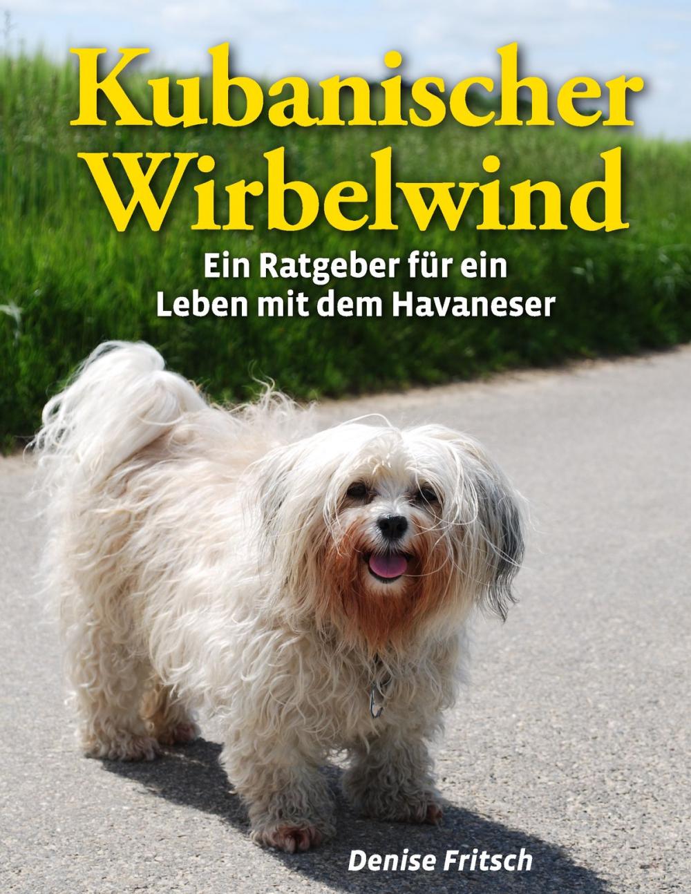 Big bigCover of Kubanischer Wirbelwind