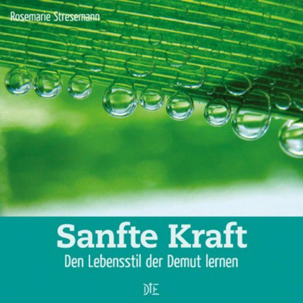 Big bigCover of Sanfte Kraft