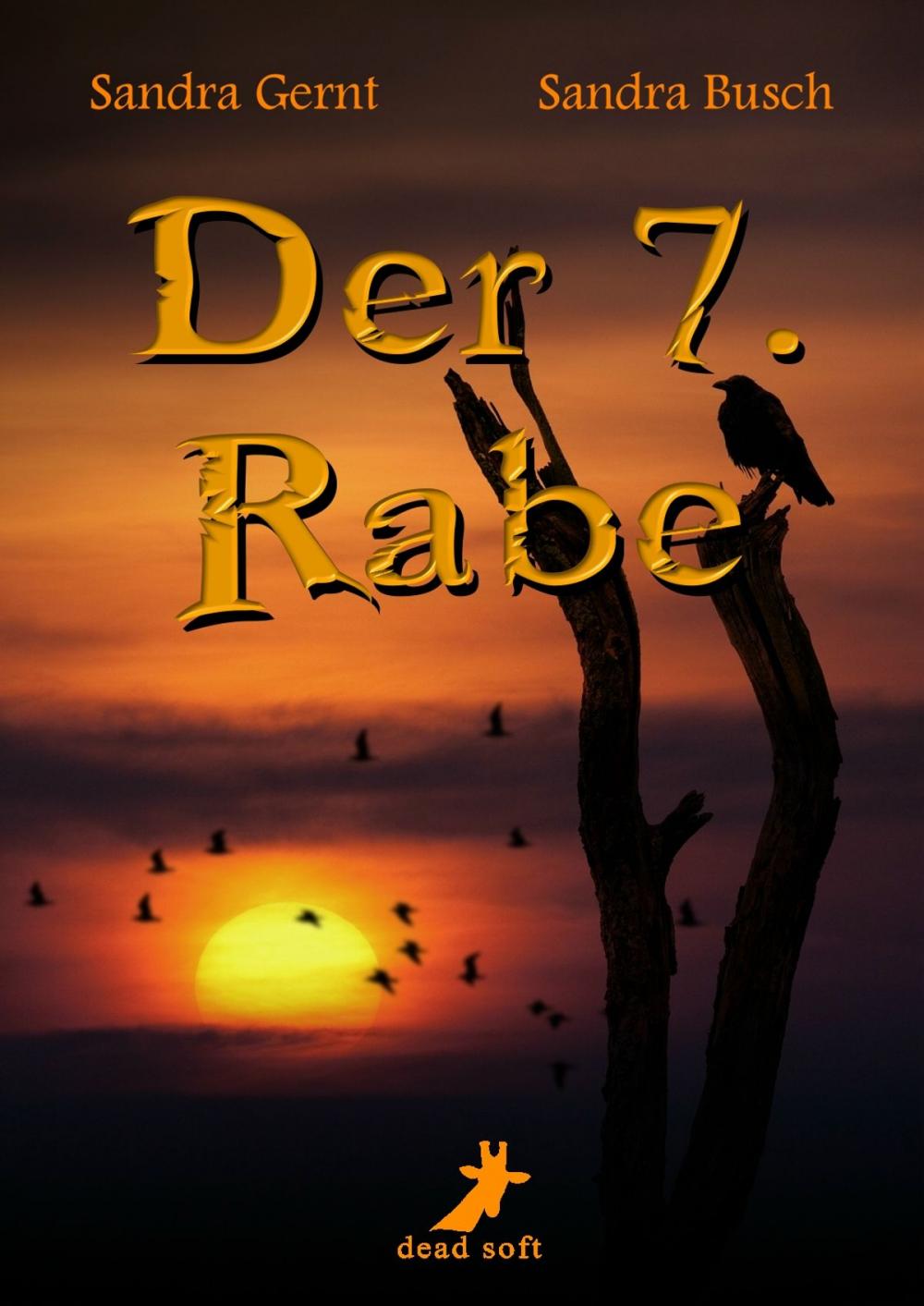 Big bigCover of Der 7. Rabe