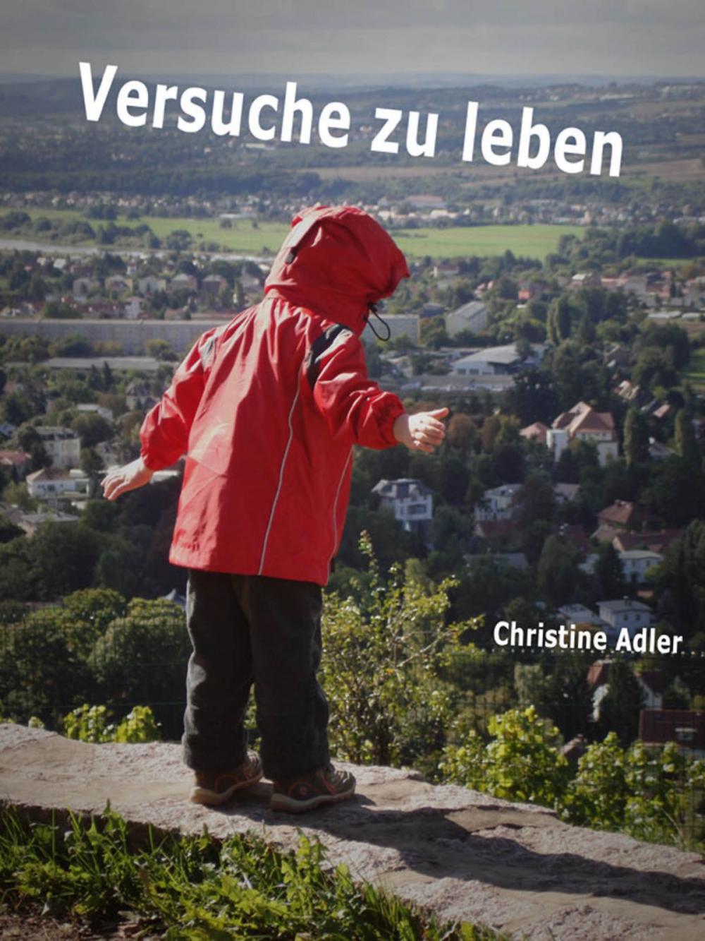 Big bigCover of Versuche zu leben