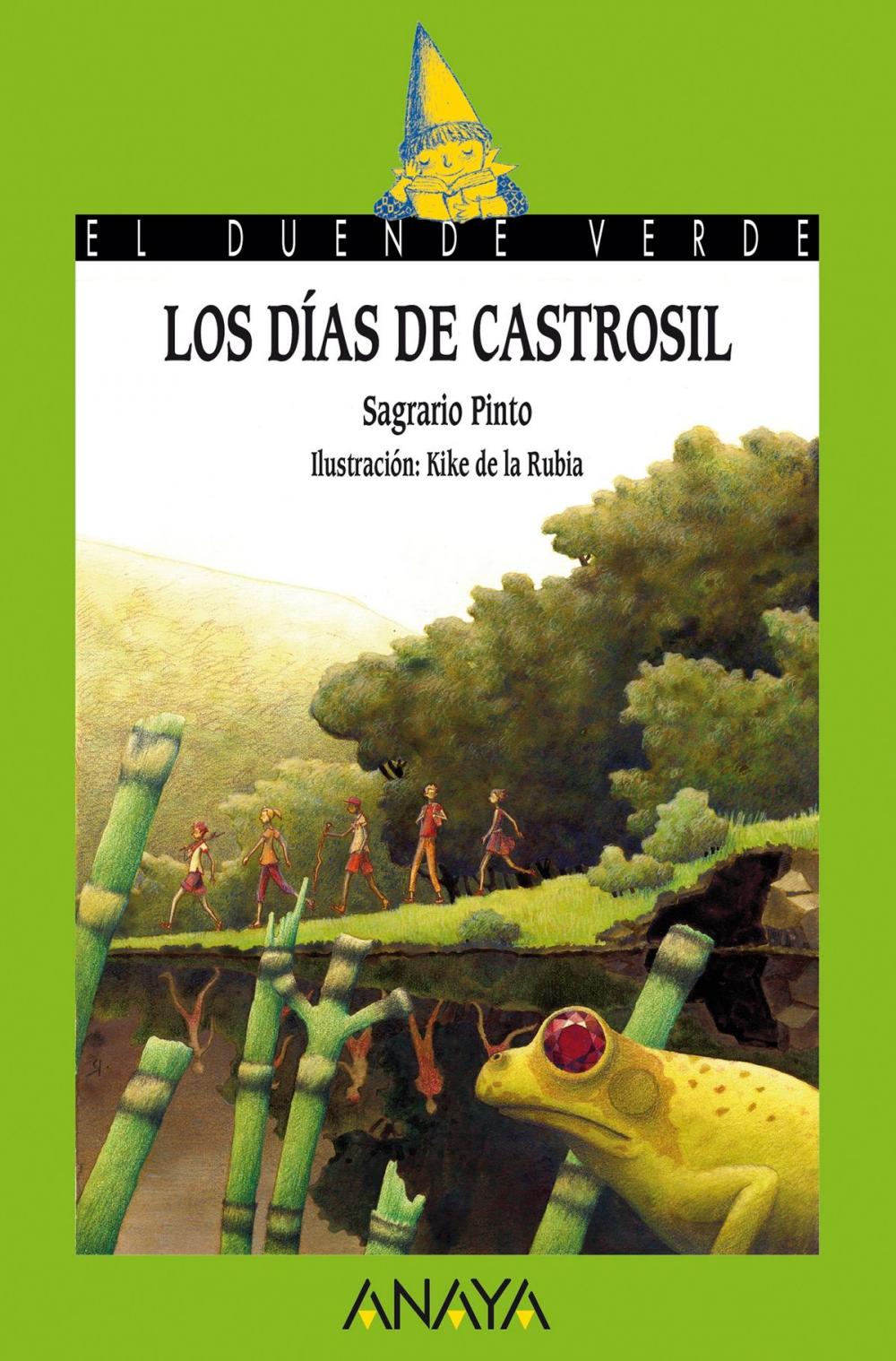 Big bigCover of Los días de Castrosil