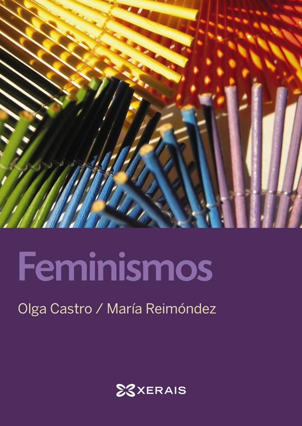 Big bigCover of Feminismos