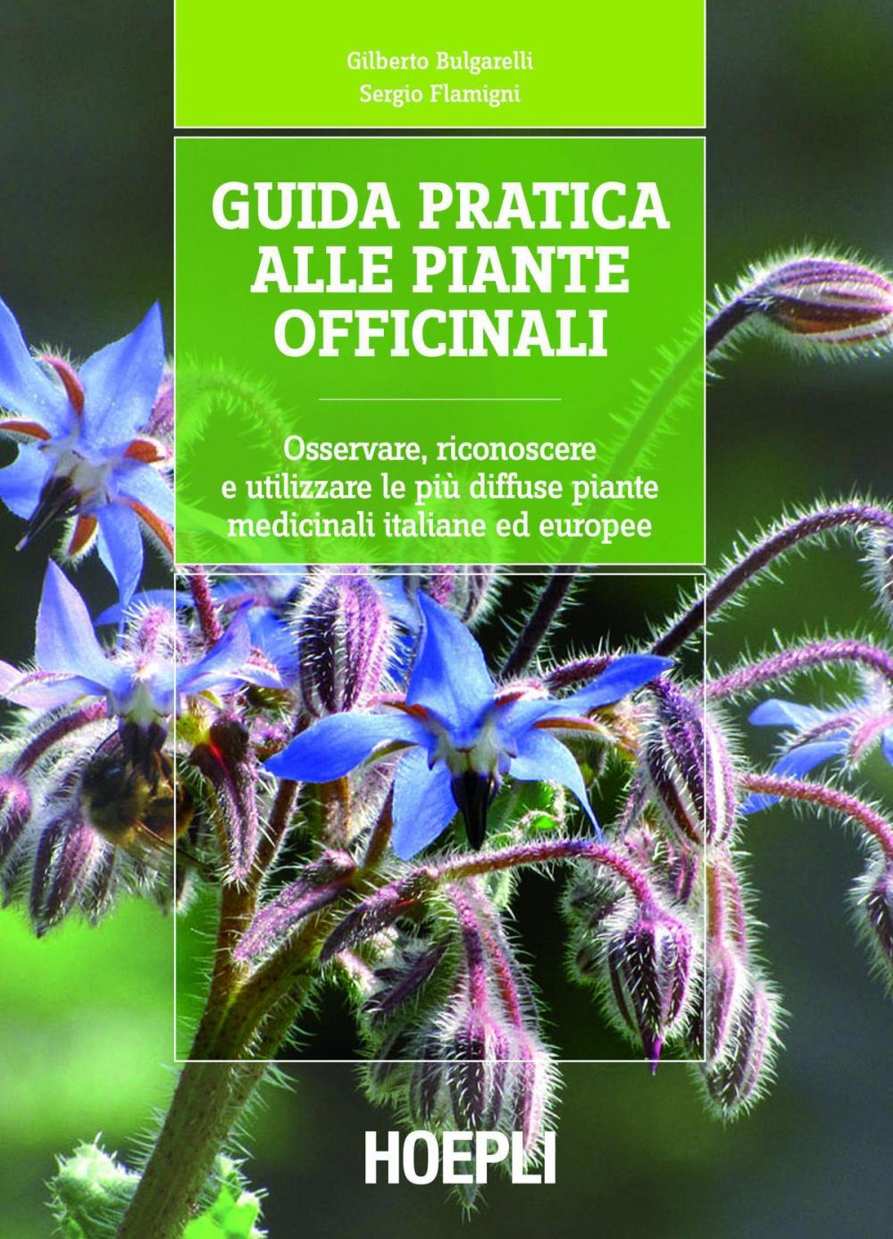 Big bigCover of Guida pratica alle piante officinali