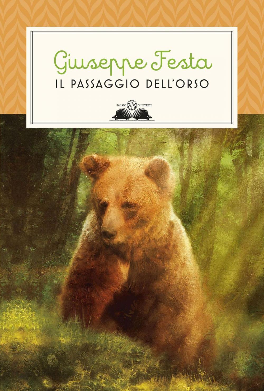 Big bigCover of Il passaggio dell'orso