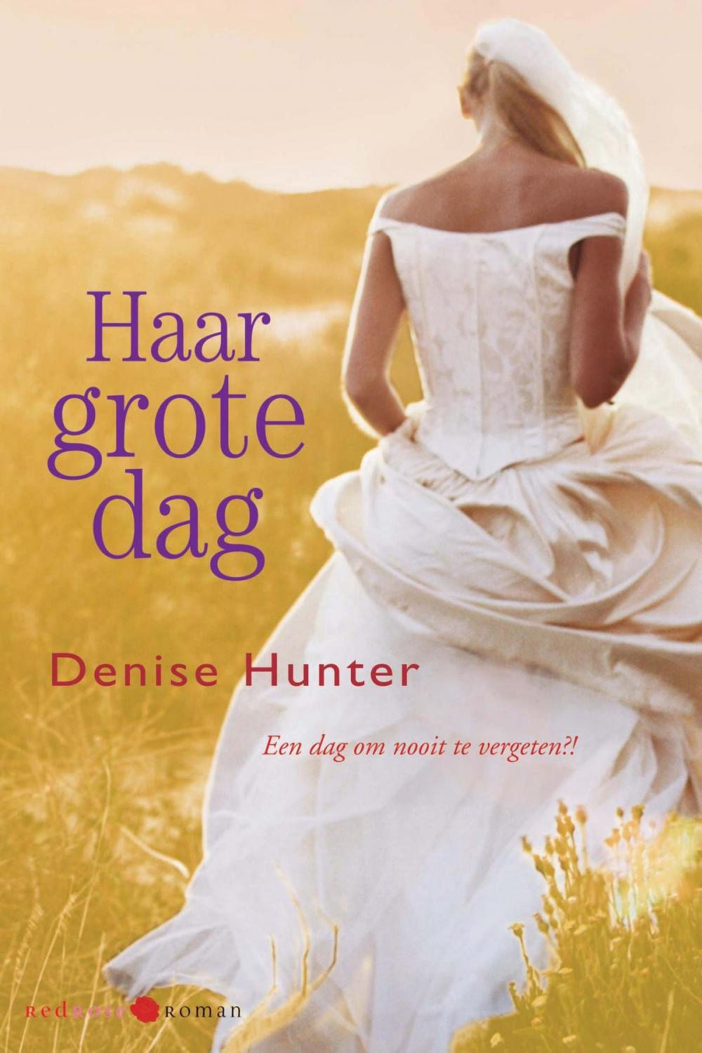 Big bigCover of Haar grote dag