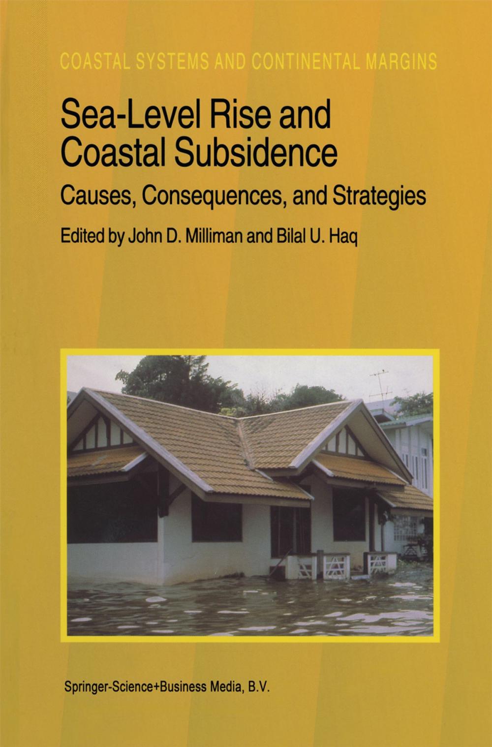 Big bigCover of Sea-Level Rise and Coastal Subsidence: Causes, Consequences, and Strategies