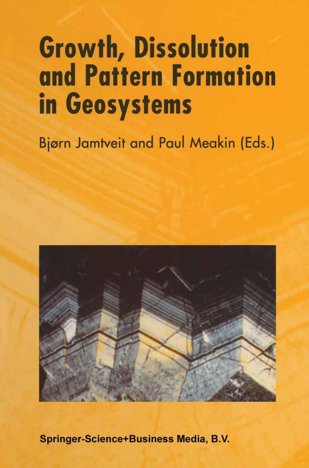 Big bigCover of Growth, Dissolution and Pattern Formation in Geosystems