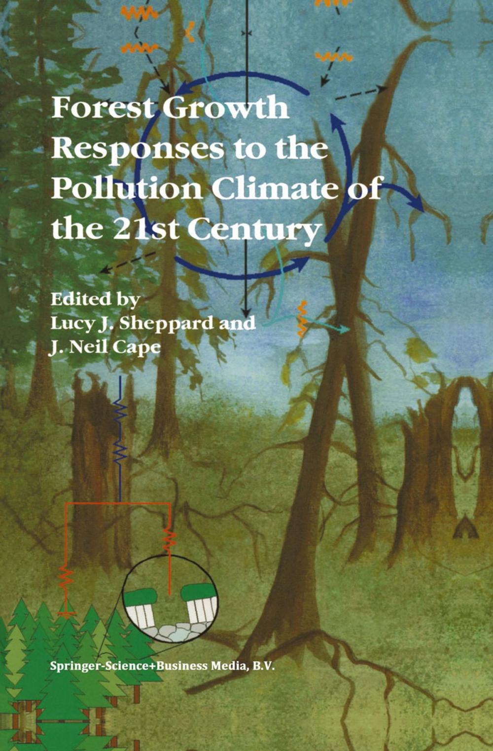 Big bigCover of Forest Growth Responses to the Pollution Climate of the 21st Century