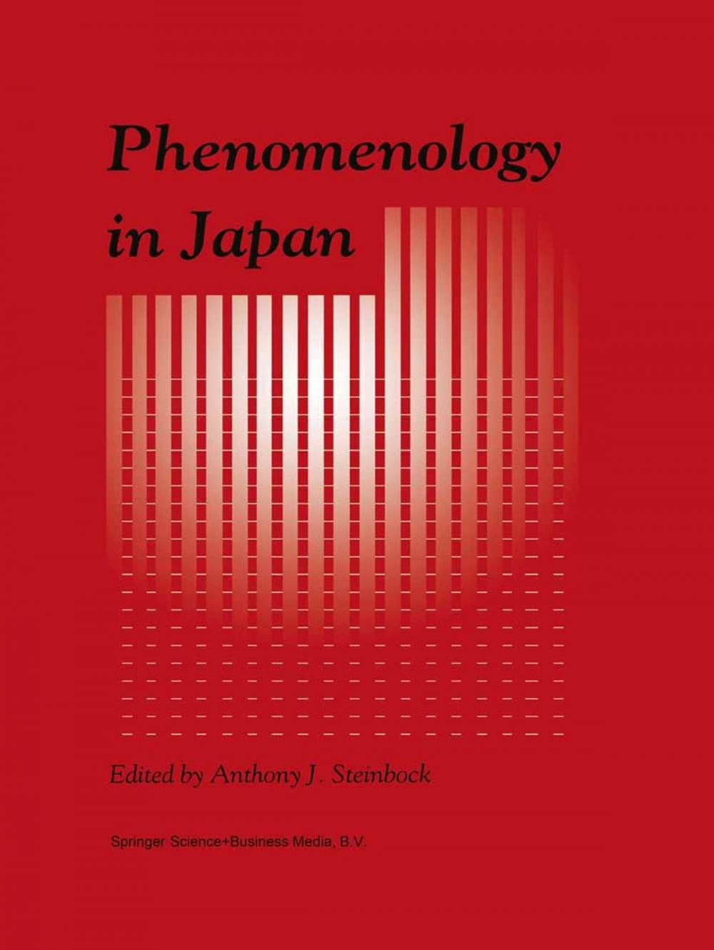 Big bigCover of Phenomenology in Japan