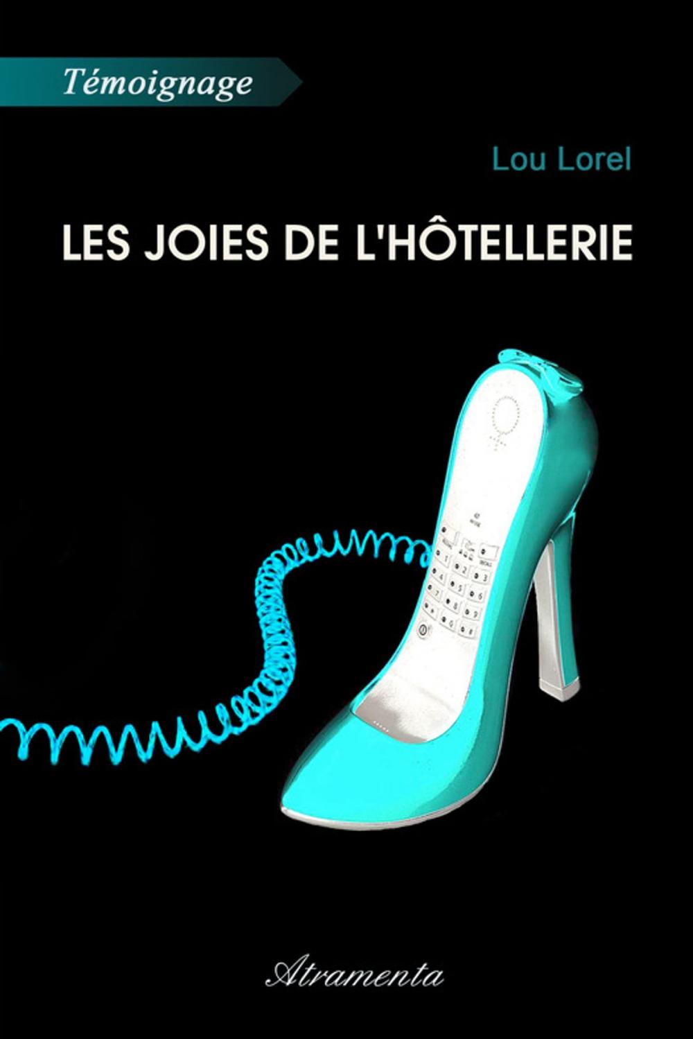 Big bigCover of Les joies de l'hôtellerie