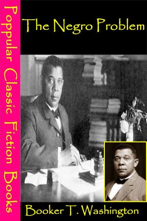 Book cover of The Negro Problem