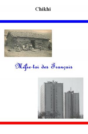 Cover of the book Méfie-toi des Français by Karen J. Greenberg
