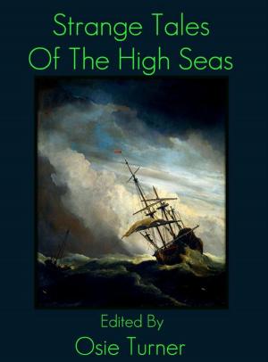 Cover of the book Strange Tales of the High Seas by David Ruggeri