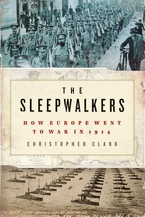 Cover of the book The Sleepwalkers by Great Southern Grammar Students